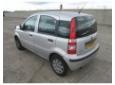 amortizor  spate fiat panda(169) 2003/09 ->in prezent