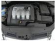 broasca usa spate de vw jetta 1.9tdi bxe 77kw 105cp