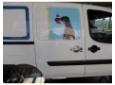 usa rezervor fiat doblo 1.3multijet